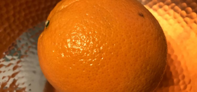 Orange: The Edible and the Eyesore